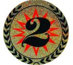Вкладыш d-50 мм 2 место галограмма