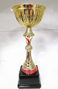 Кубок GD 2206 A h-41.5 см d-160 мм