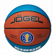 Мяч баскетбольный JOGEL Pro Training ECOBALL 2.0 Replica р.5
