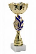 Кубок -270-100  h-27 см d-100