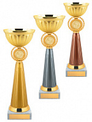  Кубок 5008 С h-21.5 cм d-80