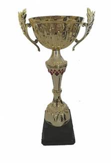 Кубок GD 2101 A h-45 см d-160 мм