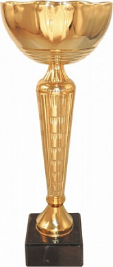 Кубок 560 B h-25 см d-100